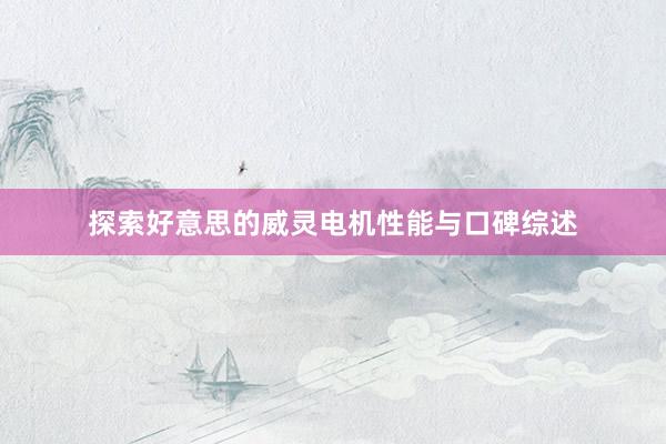 探索好意思的威灵电机性能与口碑综述